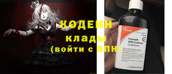 дмт Осташков