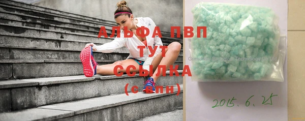 дмт Осташков